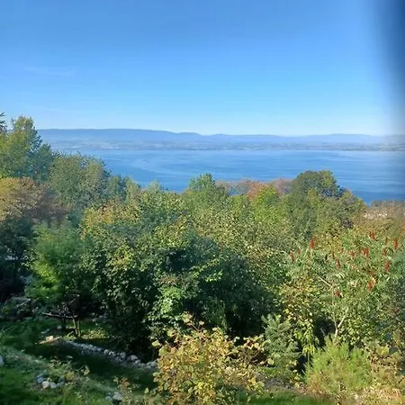 Charmante Location Hauts D'Evian Publier Exterior photo
